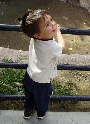 2003-02-23_20c