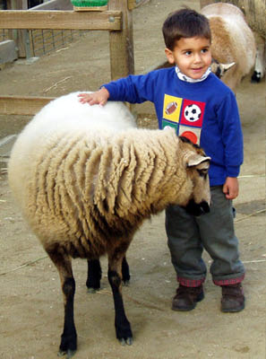 2004-12-17-sf-zoo_06