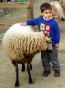 2004-12-17-sf-zoo_06