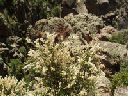 2003-06-black-canyon-np_011