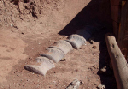 2003-06-dinosaur-hill_02