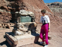 2003-06-dinosaur-hill_09