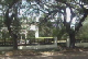new_orleans_trolley_015