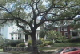 new_orleans_trolley_021