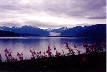 Mendenall Glacier from Douglas Island