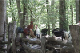 smokies_farm_011