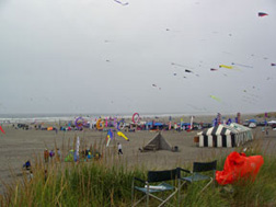 Kite Festival - Long Beach, WA